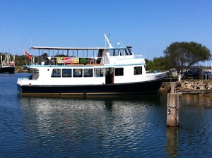ferry mm skipper